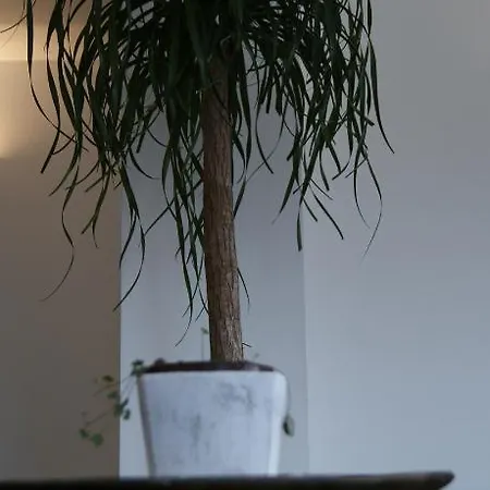 Apartament La Maison Vicolo Sabbia *